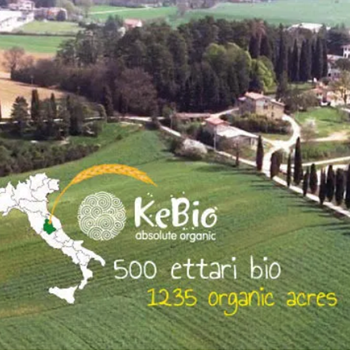 Kebio Organic